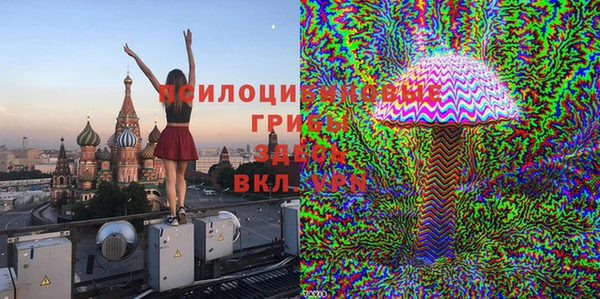 круглые Осташков