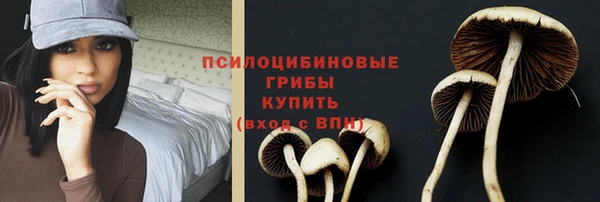 мескалин Осинники