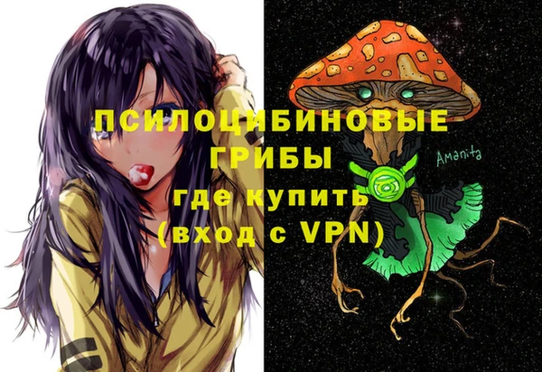 мескалин Осинники