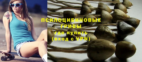круглые Осташков