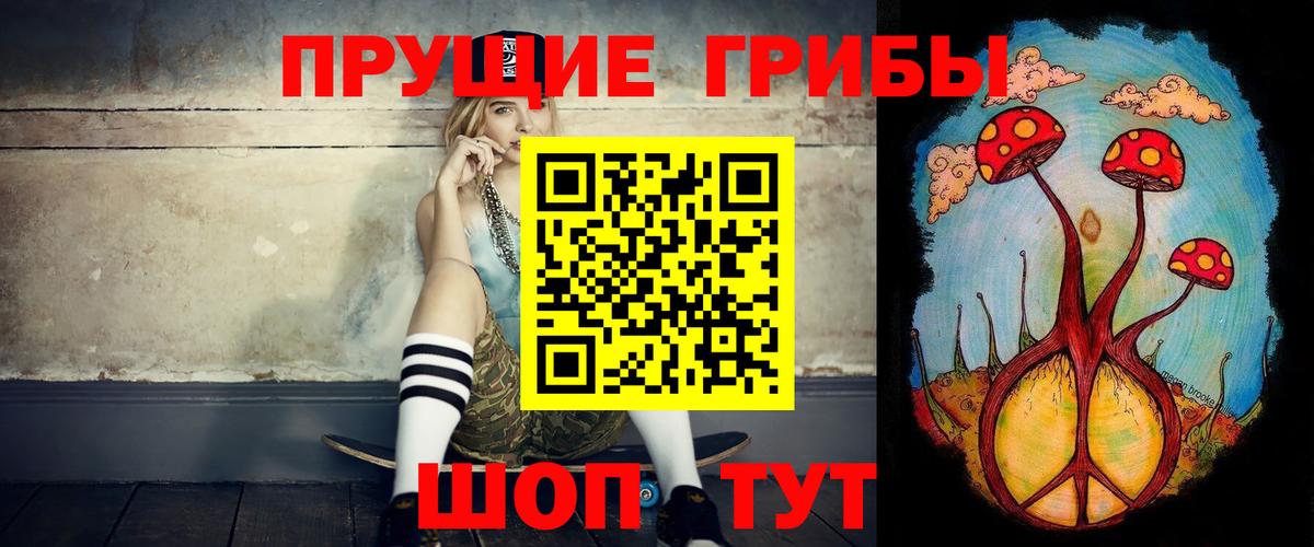 Псилоцибиновые грибы Psilocybe  Вход с VPN  хочу наркоту  Черногорск 